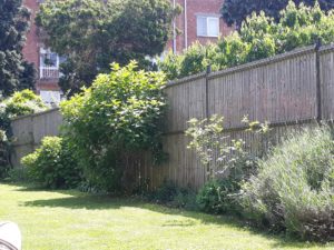 BEKAFOR COLLFORT Betafence