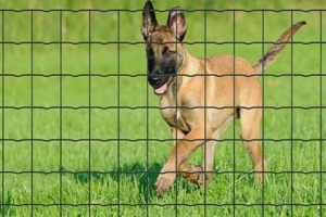 Fortinet Protect Betafence
