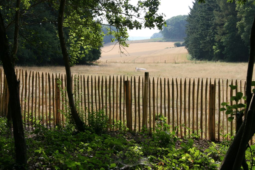 Clôture châtaignier: Infos sur la pose & prix des ganivelles