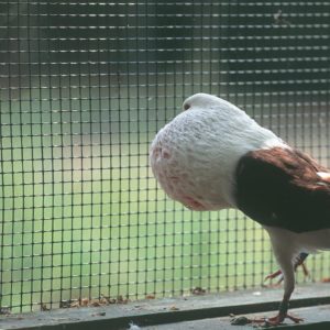 CASANET PLASTIC betafence