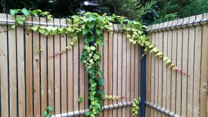 NYLOFOR COLLFORT Betafence