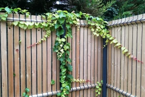 NYLOFOR COLLFORT Betafence