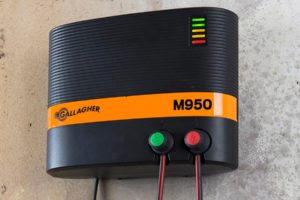 Electrificateur SUR SECTEUR M950